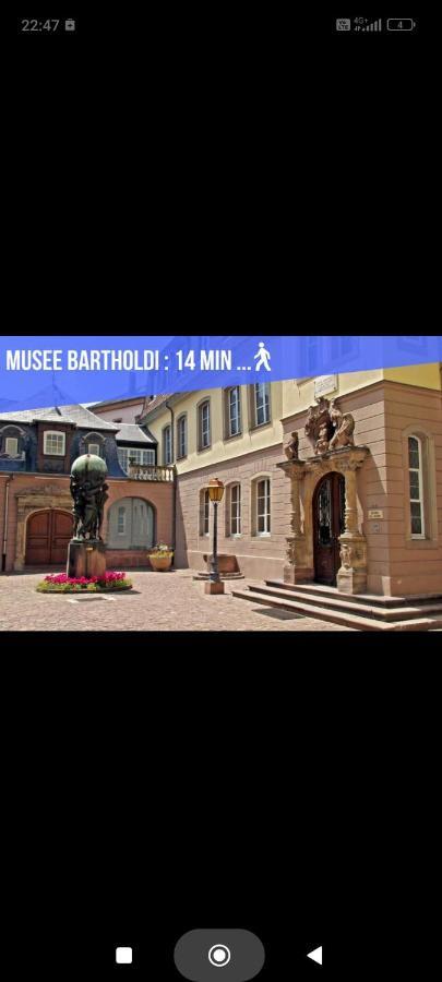 Refuge Ladhof Odysalis I Chic-Moderne-Proche Du Centre-Ville 3 Pieces 2 Chambres Кольмар Экстерьер фото